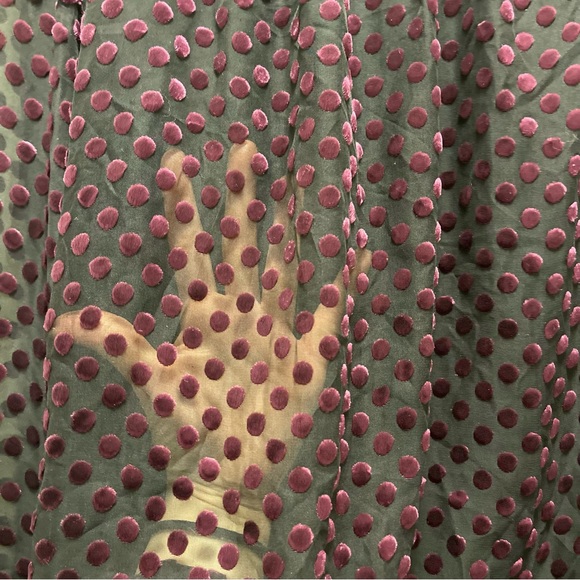 Club Monaco Sheer Blouse w/ Velvet Polka Dots - Picture 3 of 3